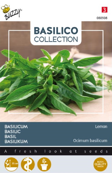 Citroenbasilicum (Ocimum × citriodorum) 900 zaden BU